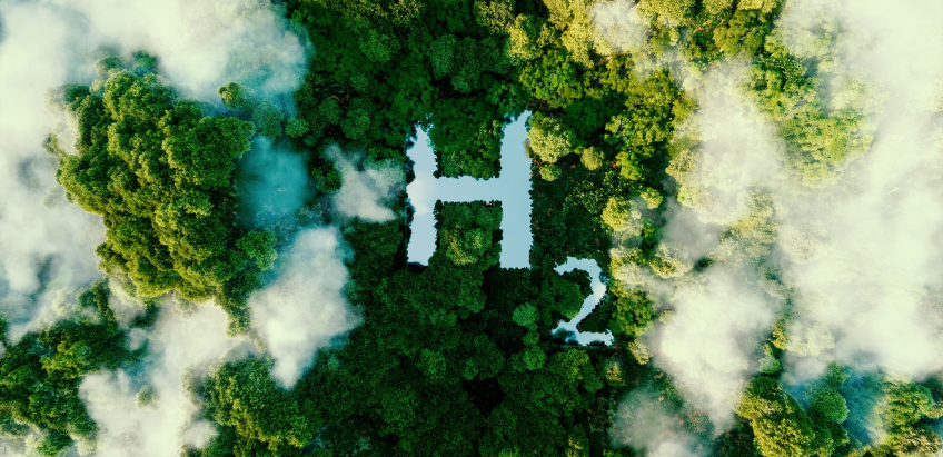 Birdseye view of the hydrogen chemical symbol that has been digitally carved into a forest