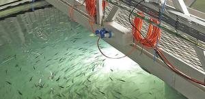 Delivering water treatment systems for offshore aquaculture and land-based facilities